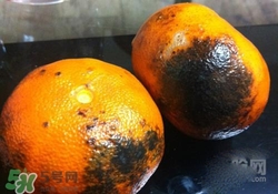 烤橘子怎么烤？烤橘子用什么火烤？