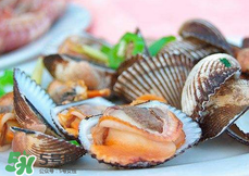 泥蚶怎么保存？泥蚶的保存方法