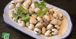 泥蚶怎么保存？泥蚶的保存方法