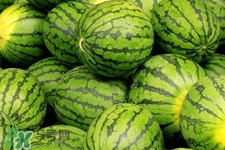 西瓜是低糖水果嗎？西瓜是低糖還是高糖？