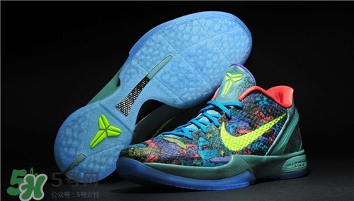 耐克zoom和air max哪個好？nike耐克氣墊鞋哪款好？