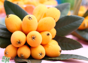 枇杷多少錢一斤？2017年枇杷多少錢一斤？