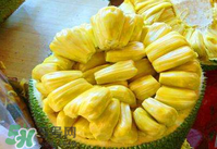 菠蘿蜜怎么吃？菠蘿蜜好吃嗎？