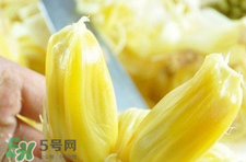 菠蘿蜜怎么吃？菠蘿蜜好吃嗎？