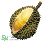 榴蓮可以和酸奶一起吃嗎？吃榴蓮喝酸奶會中毒嗎？