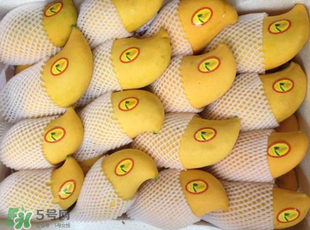 芒果哪里的最好吃？芒果哪種品種好吃？