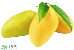 芒果哪里的最好吃？芒果哪種品種好吃？