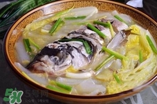 得了猩紅熱可以吃魚(yú)嗎?感染猩紅熱能吃魚(yú)嗎? 得了猩紅熱可以吃魚(yú)嗎?感染猩紅熱能吃魚(yú)嗎?