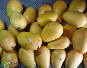 芒果爛了一點(diǎn)能吃嗎？芒果爛了一半還能吃嗎？