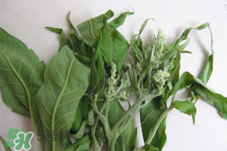 艾草可以治痛經(jīng)嗎？艾草能治月經(jīng)不調(diào)嗎？