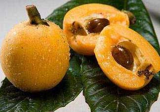 枇杷和菠蘿能一起吃嗎？菠蘿和枇杷一起吃會中毒嗎？