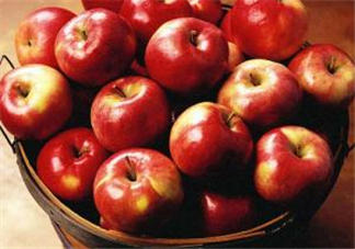 天天吃蘋果能減肥嗎？天天吃蘋果對(duì)皮膚好嗎？