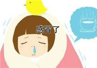 為什么總是感冒？總是感冒怎么回事？