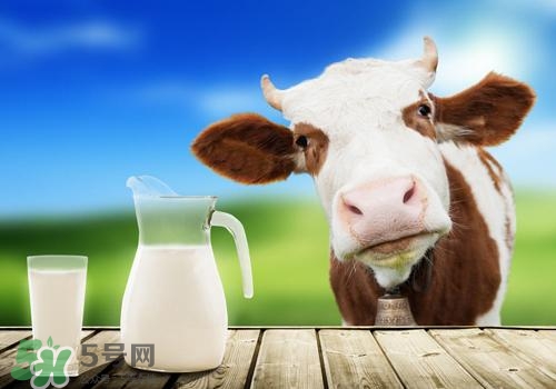 牛奶苦是怎么回事？牛奶苦能喝嗎？