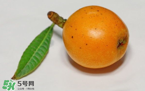 枇杷可以和蔥一起煮嗎？蔥和枇杷葉一起煮可以喝嗎？