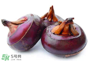 枇杷可以和荸薺一起煮水嗎？枇杷和荸薺能一起吃嗎？