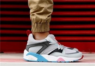 puma大白鯊怎么看真假？彪馬大白鯊真假辨別