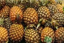 菠蘿是低糖水果嗎？菠蘿含糖量高嗎？
