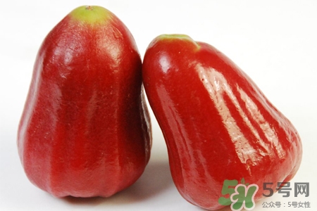 蓮霧和什么不能一起吃？什么人不適合吃蓮霧？