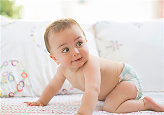 寶寶幾個(gè)月會坐會爬 寶寶幾個(gè)月爬正常