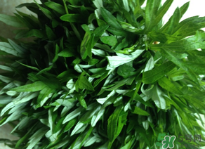 清明草是艾草嗎？清明菜是什么草？