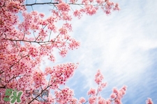 倒春寒吃什么食物？倒春寒吃什么御寒？