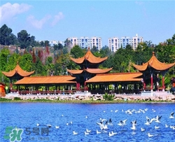 4月份去昆明穿什么？四月份去昆明穿什么衣服？