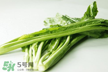 春分要吃春菜嗎？春分為什么要吃春菜？