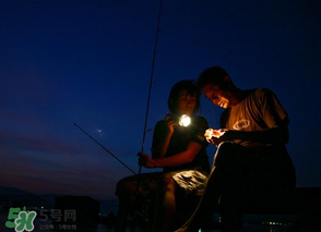 春分能夜釣嗎？春分能釣鯉魚嗎？