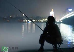 春分能夜釣嗎？春分能釣鯉魚嗎？