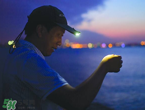 春分能夜釣嗎？春分能釣鯉魚嗎？