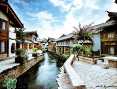 4月份去麗江穿什么？四月份去麗江穿什么衣服？