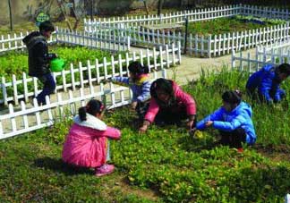 清明節(jié)種什么菜？清明節(jié)前后種什么菜？