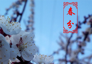 春菜為什么會苦？春菜發(fā)苦能吃嗎？