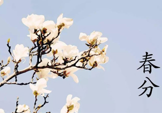 春分吃什么傳統(tǒng)食物？南方人春分節(jié)氣吃什么？