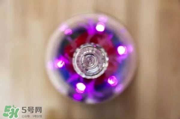 camino美女與野獸音響多少錢？camino玫瑰藍(lán)牙音箱價(jià)格