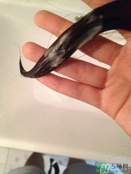 水之密語(yǔ)悅潤(rùn)至美 水之密語(yǔ)悅潤(rùn)至美洗發(fā)水 水之密語(yǔ)悅潤(rùn)至美 水之密語(yǔ)悅潤(rùn)至美洗發(fā)水