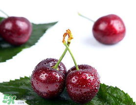 櫻桃怎么保存才新鮮？櫻桃怎么保存時間長？