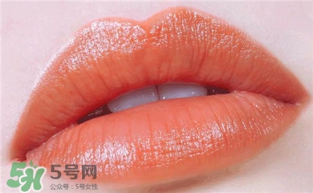 紀梵希317口紅圖片 紀梵希317試色 紀梵希317口紅圖片 紀梵希317試色