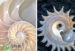 珍珠貝母表盤好嗎？珍珠貝母表盤耐用嗎？