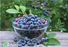 藍(lán)莓一天吃多少為宜？藍(lán)莓每天吃多少合適？
