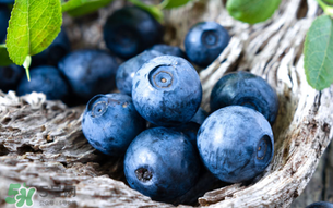 藍(lán)莓變軟了還能吃嗎？藍(lán)莓發(fā)軟了還能吃嗎？