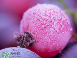 藍(lán)莓變紅可以吃嗎？藍(lán)莓發(fā)紅是壞掉了嘛？