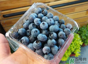 盒裝藍(lán)莓要洗嗎？盒裝藍(lán)莓怎么洗？