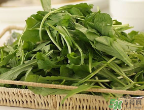 薺菜有毒嗎？吃薺菜會(huì)中毒嗎？