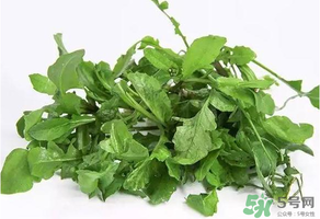 薺菜有毒嗎？吃薺菜會(huì)中毒嗎？