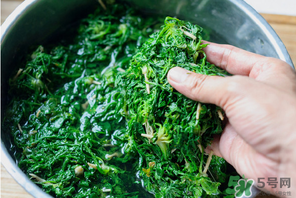 薺菜有草酸嗎？薺菜草酸高嗎？