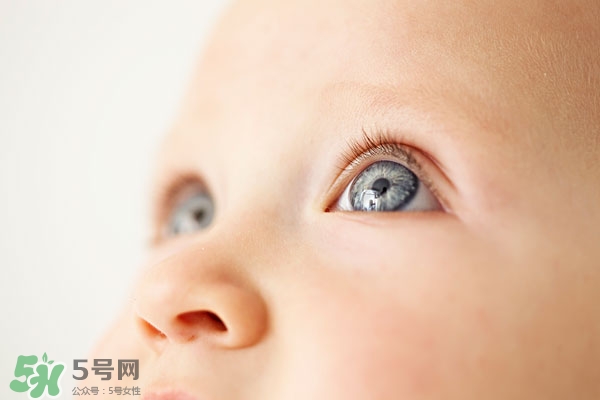 孕婦吃什么對(duì)寶寶眼睛好 對(duì)寶寶眼睛好的食物有哪些 孕婦吃什么對(duì)寶寶眼睛好 對(duì)寶寶眼睛好的食物有哪些