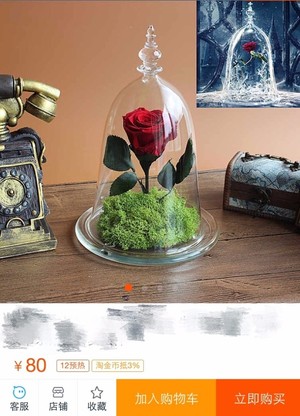 野獸派美女與野獸水晶球多少錢？野獸派音樂(lè)水晶球價(jià)格