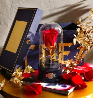 野獸派美女與野獸水晶球多少錢？野獸派音樂(lè)水晶球價(jià)格